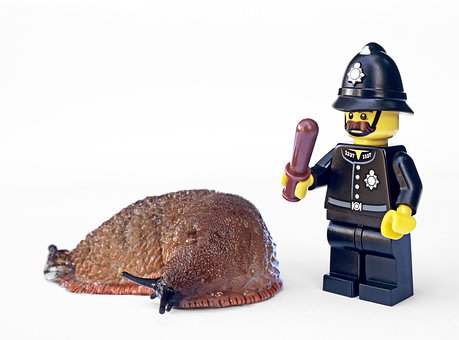 Picture of Jane Smith, pest officer